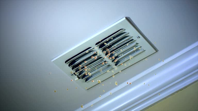 Best HVAC Duct Inspection Services  in Country Walk, FL
