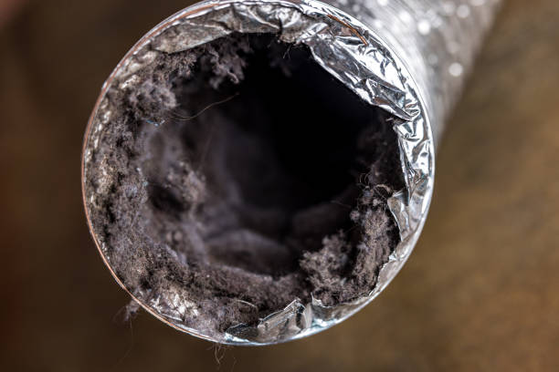 Best Best Air Duct Cleaning Company  in Country Walk, FL